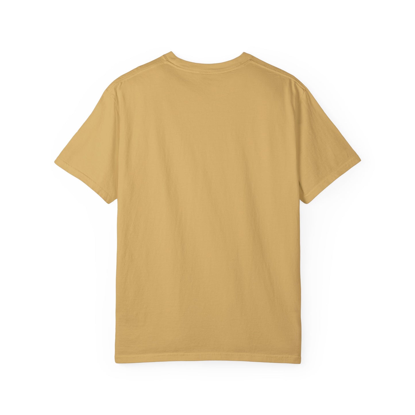 I Went Out Once, But the Graphics Weren't Very Good Gamer T-shirt