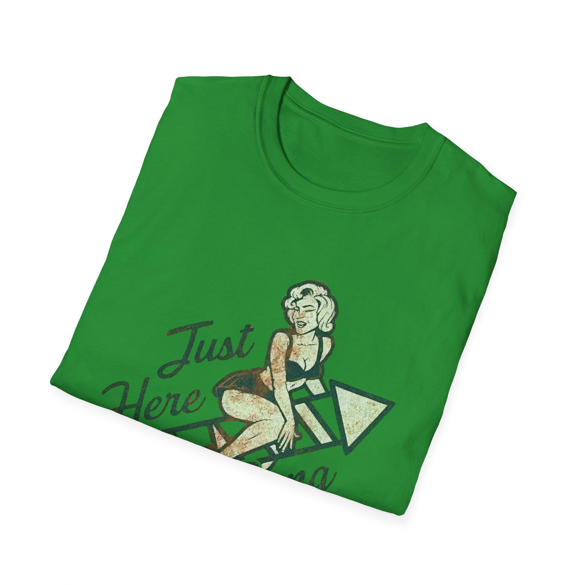 Just Here to Bang Firecrackers 4th of July Adult T-shirt
