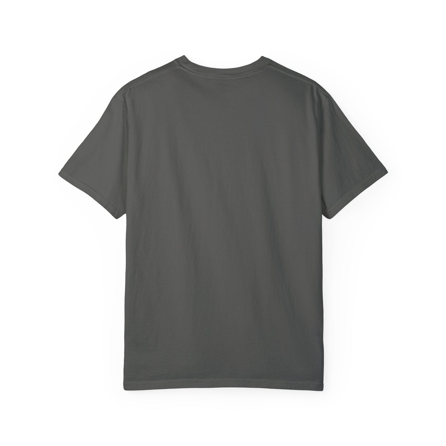 I Went Out Once, But the Graphics Weren't Very Good Gamer T-shirt